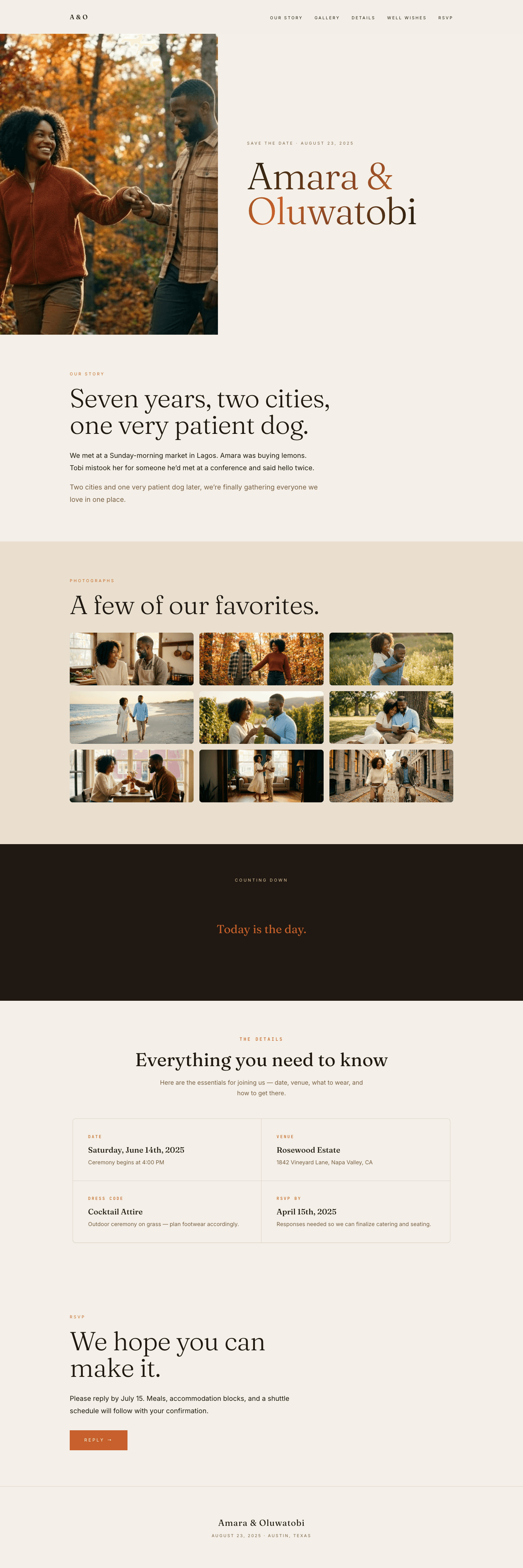 Amara & Oluwatobi template preview